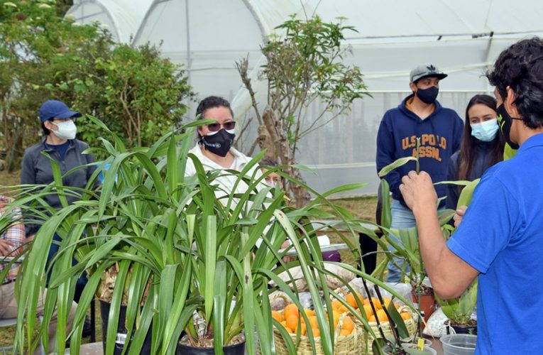 Desde la Escuela de Ciencias Agrícolas y Ambientales se dictan talleres sobre manejo de orquídeas