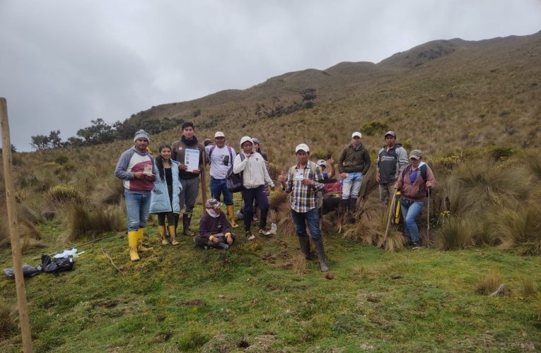 La PUCE-SI participó en la siembra de 1000 árboles forestales en Cahuasquí